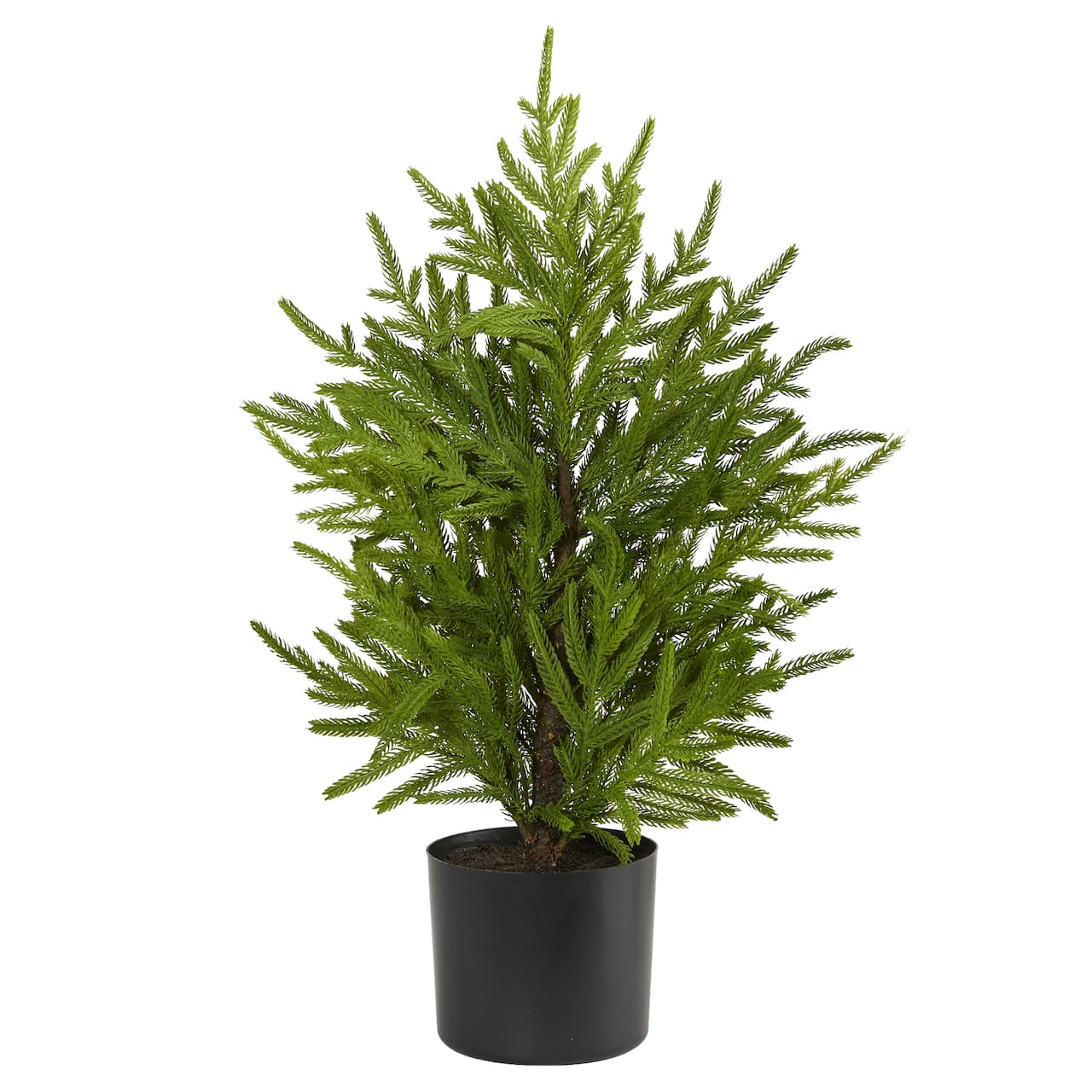 2ft. Unlit Norfolk Island Pine Artificial Potted Christmas Tree